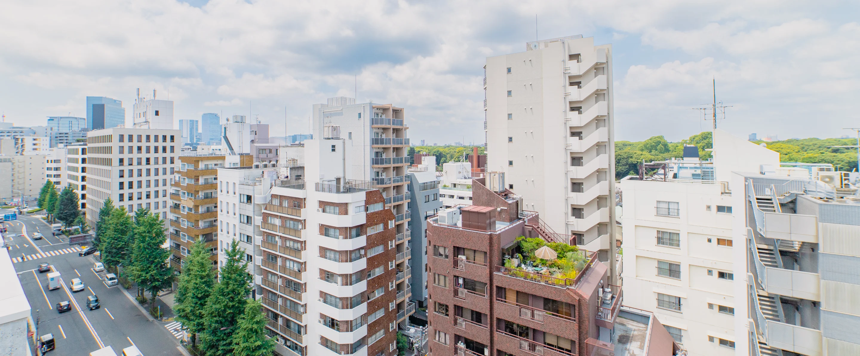 遠くに明治神宮の森が見える株式会社eF-4からの眺め